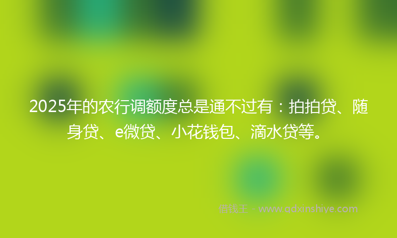2025年的农行调额度总是通不过有：拍拍贷、随身贷、e微贷、小花钱包、滴水贷等。