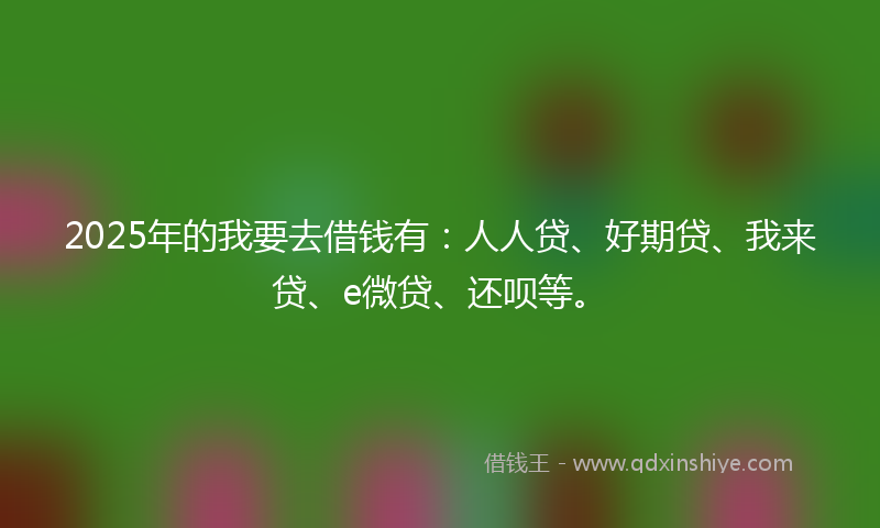 2025年的我要去借钱有：人人贷、好期贷、我来贷、e微贷、还呗等。