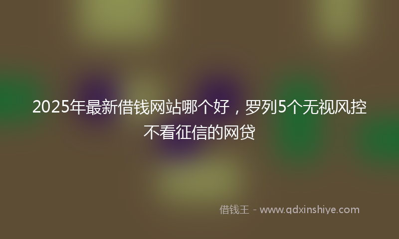 2025年最新借钱网站哪个好，罗列5个无视风控不看征信的网贷