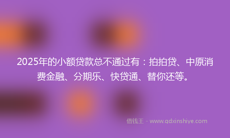 2025年的小额贷款总不通过有：拍拍贷、中原消费金融、分期乐、快贷通、替你还等。
