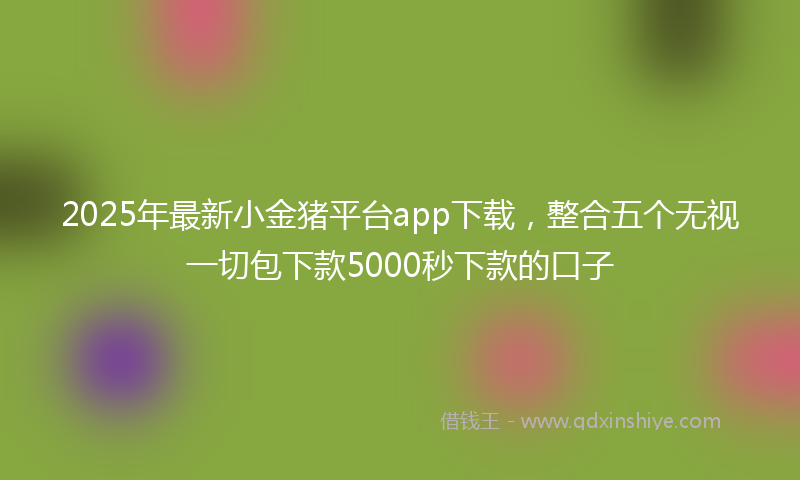 2025年最新小金猪平台app下载，整合五个无视一切包下款5000秒下款的口子