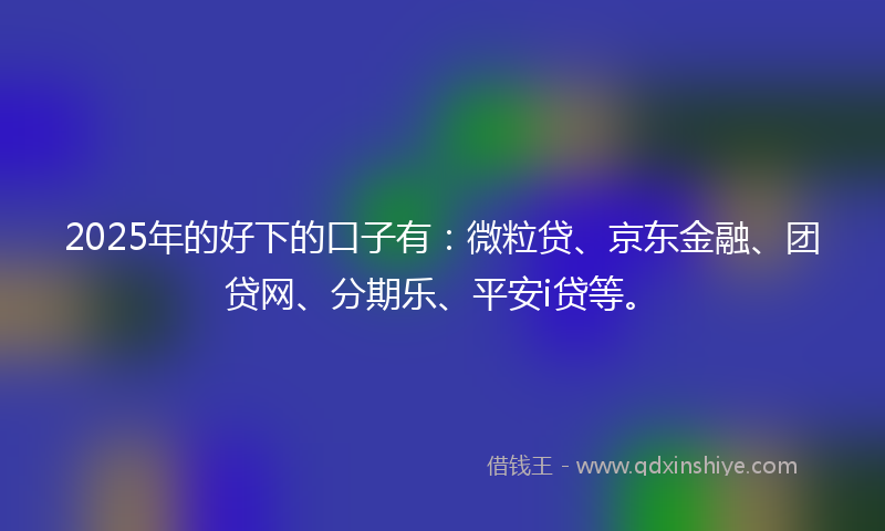 2025年的好下的口子有：微粒贷、京东金融、团贷网、分期乐、平安i贷等。