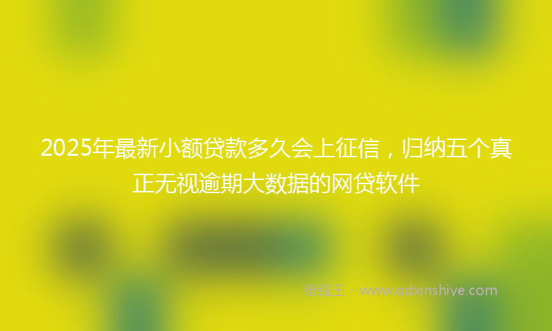 2025年最新小额贷款多久会上征信，归纳五个真正无视逾期大数据的网贷软件