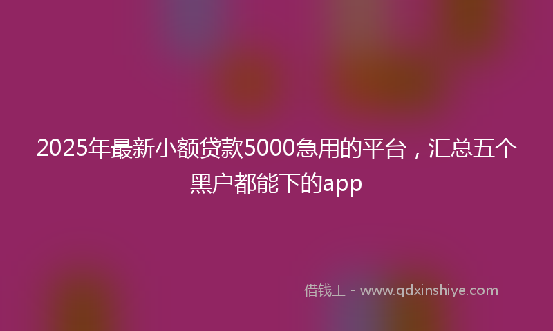 2025年最新小额贷款5000急用的平台，汇总五个黑户都能下的app