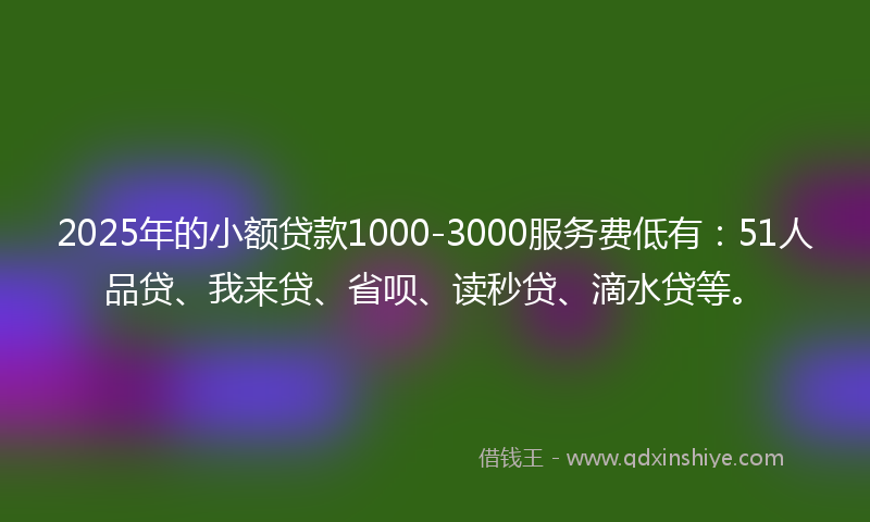 2025年的小额贷款1000-3000服务费低有：51人品贷、我来贷、省呗、读秒贷、滴水贷等。