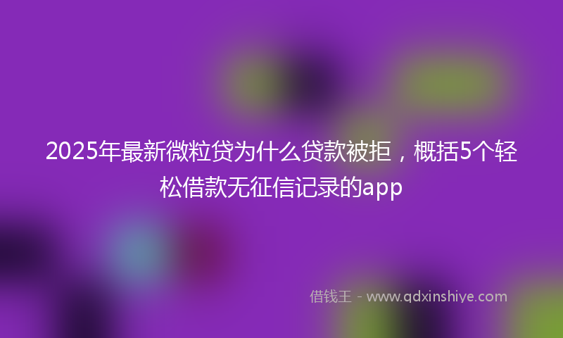 2025年最新微粒贷为什么贷款被拒，概括5个轻松借款无征信记录的app