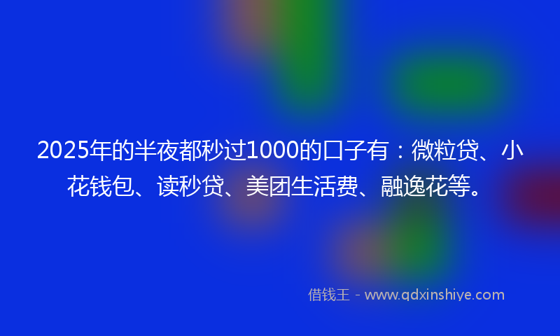 2025年的半夜都秒过1000的口子有：微粒贷、小花钱包、读秒贷、美团生活费、融逸花等。