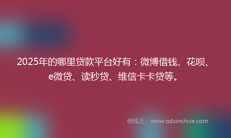 2025年的哪里贷款平台好有：微博借钱、花呗、e微贷、读秒贷、维信卡卡贷等。