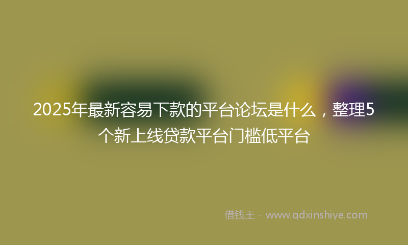 2025年最新容易下款的平台论坛是什么，整理5个新上线贷款平台门槛低平台