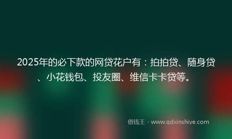 2025年的必下款的网贷花户有：拍拍贷、随身贷、小花钱包、投友圈、维信卡卡贷等。