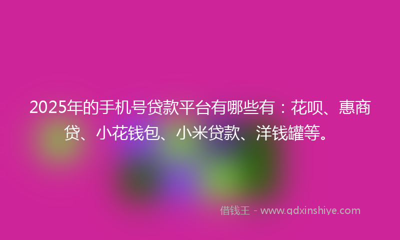 2025年的手机号贷款平台有哪些有：花呗、惠商贷、小花钱包、小米贷款、洋钱罐等。