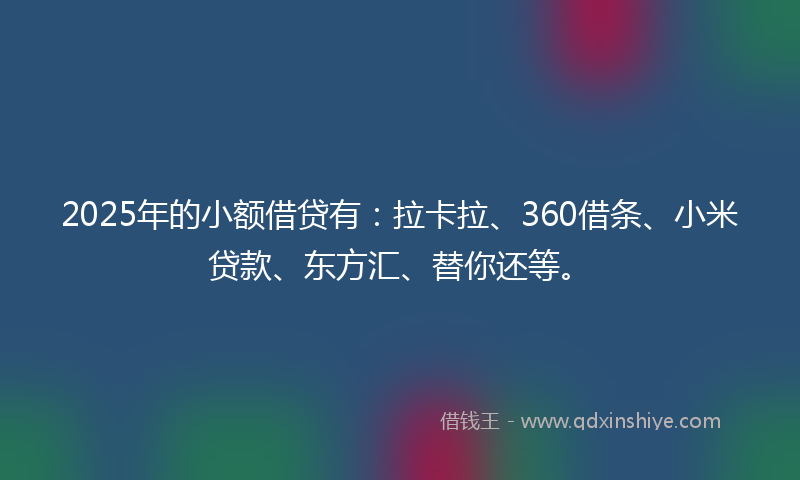 2025年的小额借贷有：拉卡拉、360借条、小米贷款、东方汇、替你还等。