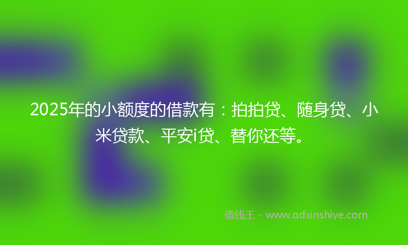 2025年的小额度的借款有：拍拍贷、随身贷、小米贷款、平安i贷、替你还等。