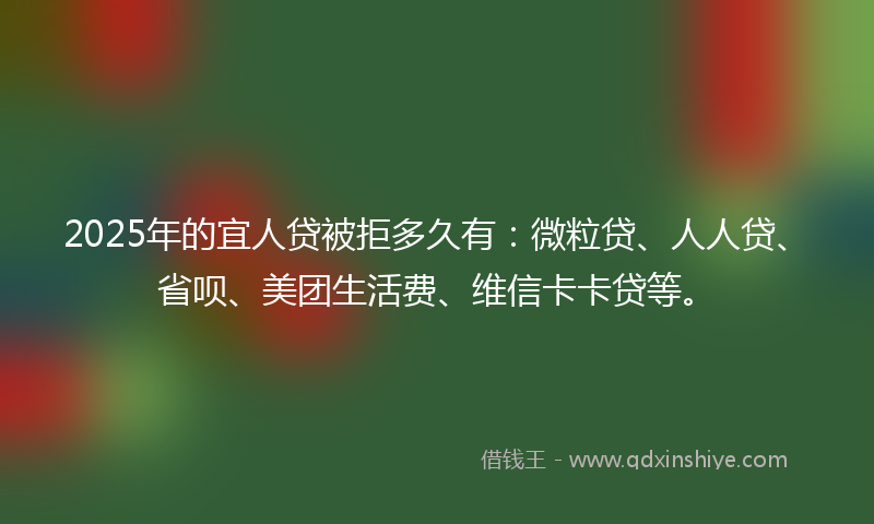 2025年的宜人贷被拒多久有：微粒贷、人人贷、省呗、美团生活费、维信卡卡贷等。