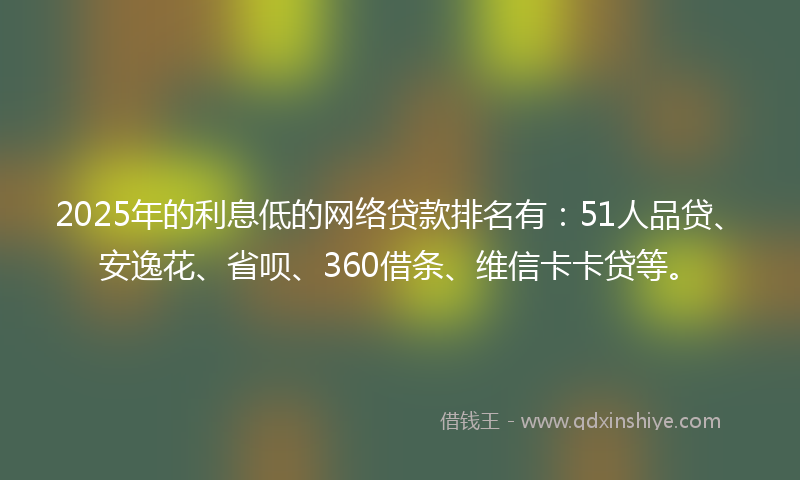 2025年的利息低的网络贷款排名有：51人品贷、安逸花、省呗、360借条、维信卡卡贷等。