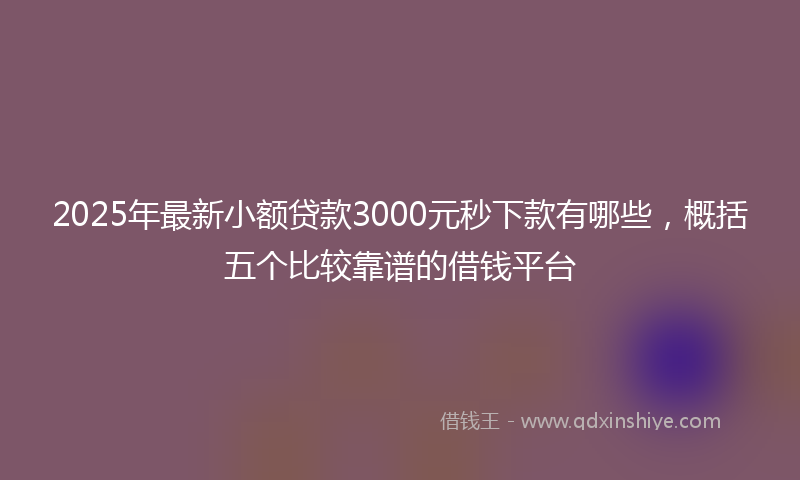 2025年最新小额贷款3000元秒下款有哪些，概括五个比较靠谱的借钱平台