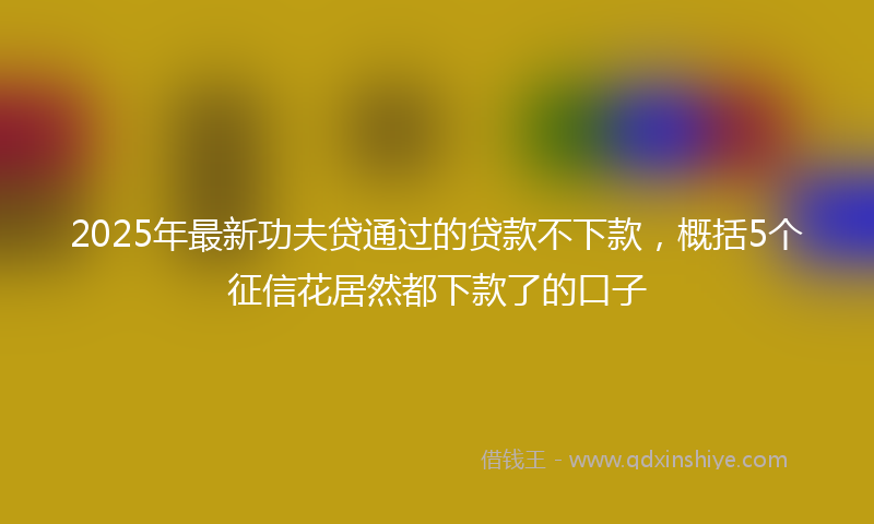 2025年最新功夫贷通过的贷款不下款，概括5个征信花居然都下款了的口子