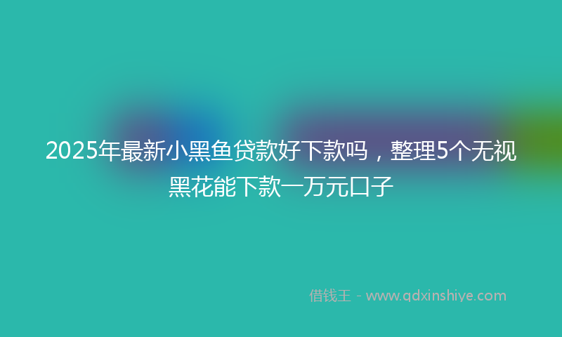 2025年最新小黑鱼贷款好下款吗，整理5个无视黑花能下款一万元口子