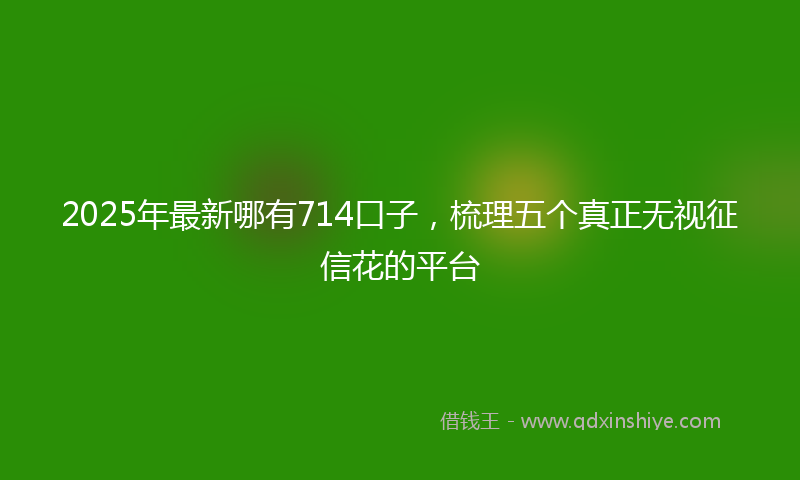 2025年最新哪有714口子，梳理五个真正无视征信花的平台