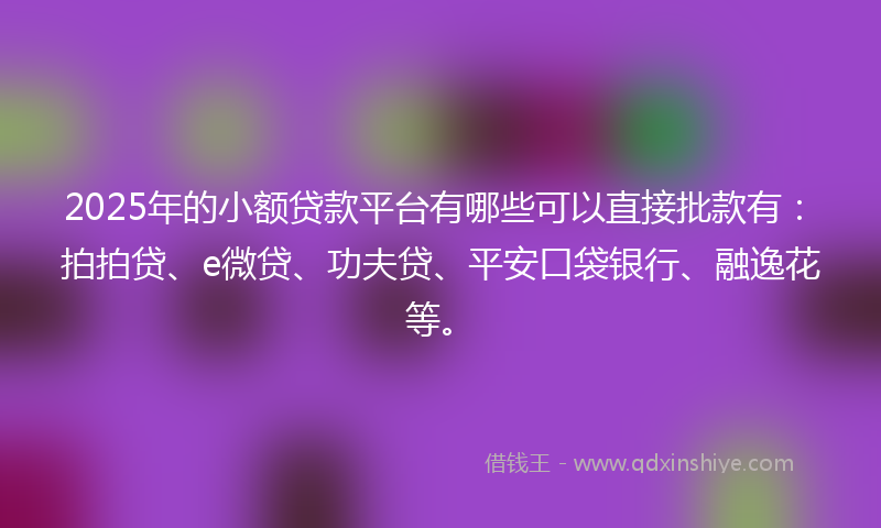 2025年的小额贷款平台有哪些可以直接批款有：拍拍贷、e微贷、功夫贷、平安口袋银行、融逸花等。