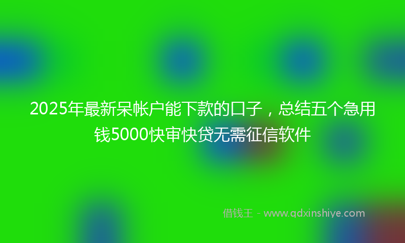 2025年最新呆帐户能下款的口子，总结五个急用钱5000快审快贷无需征信软件