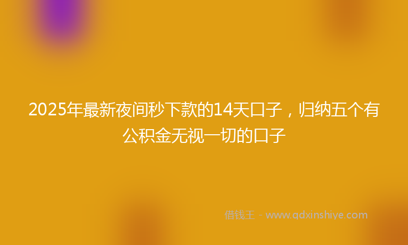 2025年最新夜间秒下款的14天口子，归纳五个有公积金无视一切的口子