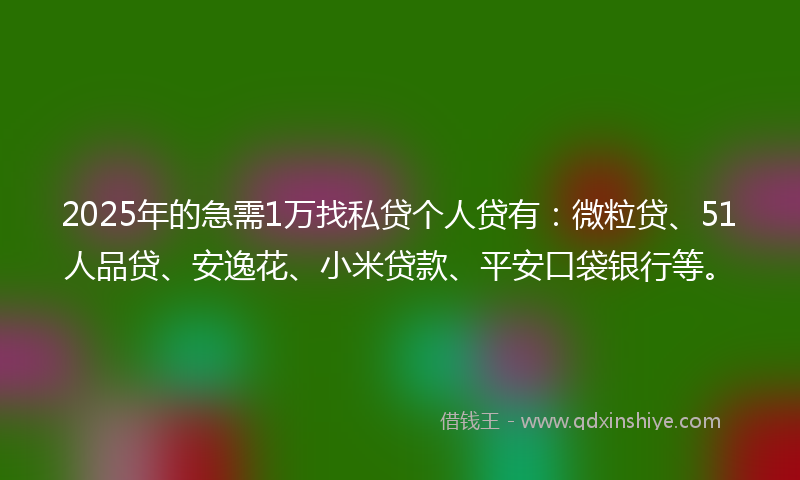 2025年的急需1万找私贷个人贷有：微粒贷、51人品贷、安逸花、小米贷款、平安口袋银行等。