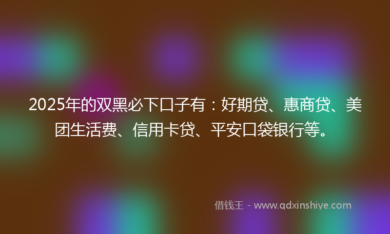 2025年的双黑必下口子有：好期贷、惠商贷、美团生活费、信用卡贷、平安口袋银行等。