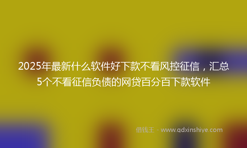 2025年最新什么软件好下款不看风控征信，汇总5个不看征信负债的网贷百分百下款软件
