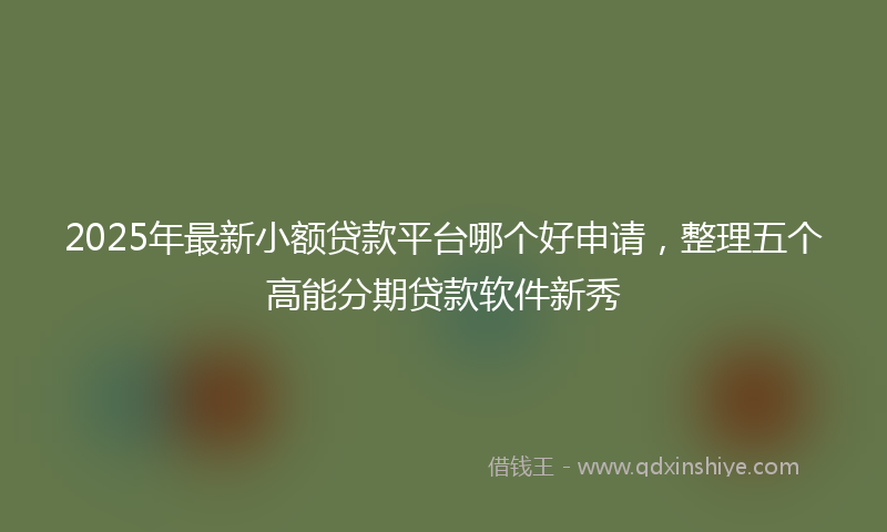 2025年最新小额贷款平台哪个好申请，整理五个高能分期贷款软件新秀