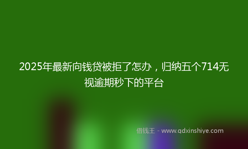 2025年最新向钱贷被拒了怎办，归纳五个714无视逾期秒下的平台