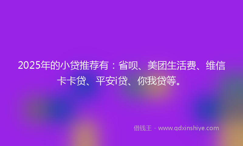 2025年的小贷推荐有：省呗、美团生活费、维信卡卡贷、平安i贷、你我贷等。