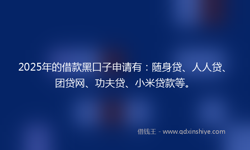 2025年的借款黑口子申请有：随身贷、人人贷、团贷网、功夫贷、小米贷款等。