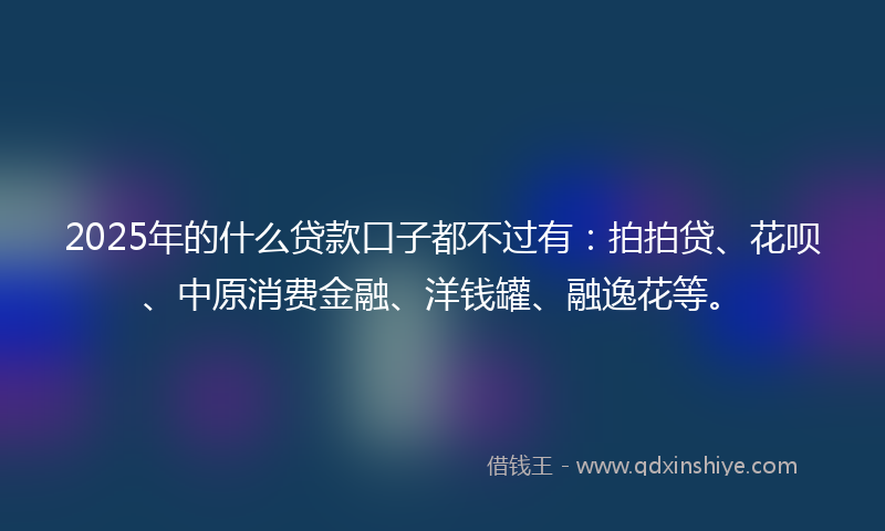 2025年的什么贷款口子都不过有：拍拍贷、花呗、中原消费金融、洋钱罐、融逸花等。