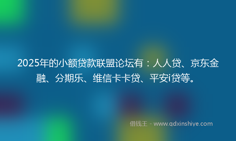 2025年的小额贷款联盟论坛有：人人贷、京东金融、分期乐、维信卡卡贷、平安i贷等。