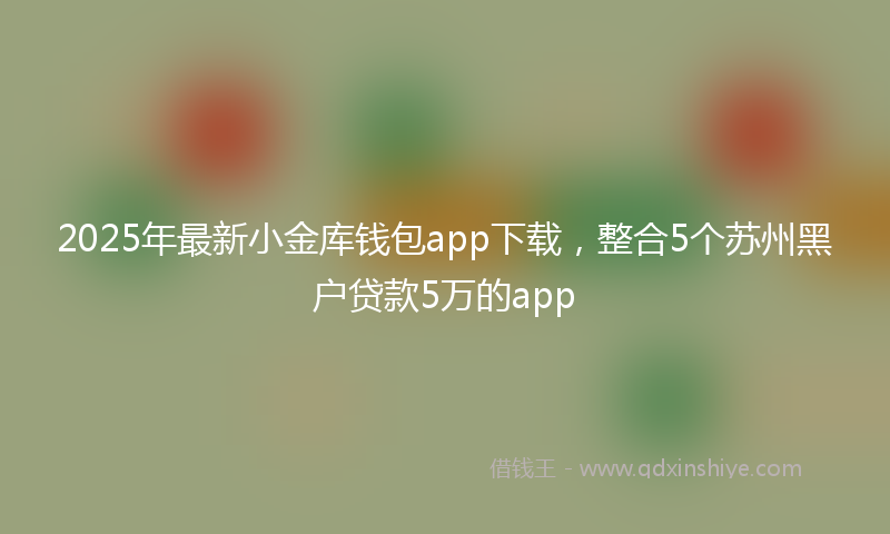 2025年最新小金库钱包app下载，整合5个苏州黑户贷款5万的app