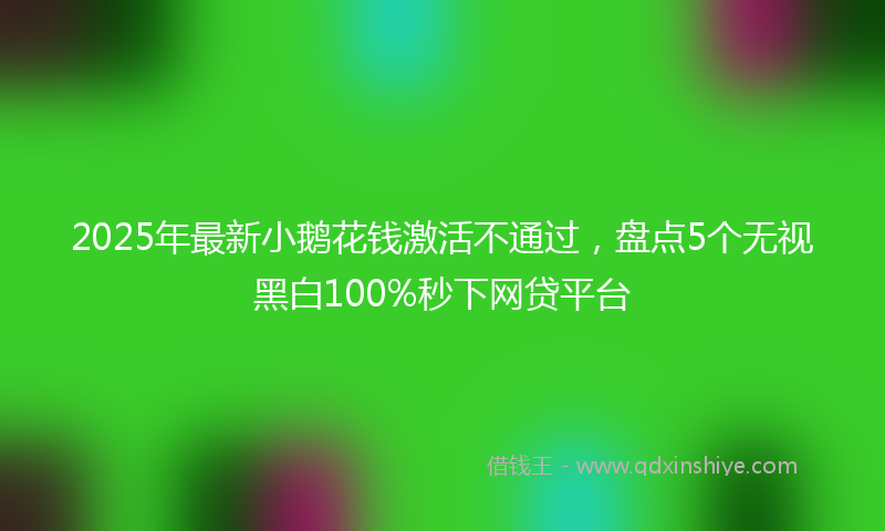 2025年最新小鹅花钱激活不通过，盘点5个无视黑白100%秒下网贷平台