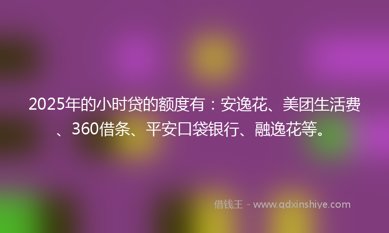 2025年的小时贷的额度有：安逸花、美团生活费、360借条、平安口袋银行、融逸花等。