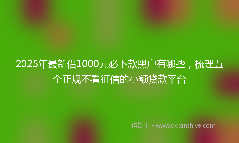 2025年最新借1000元必下款黑户有哪些，梳理五个正规不看征信的小额贷款平台