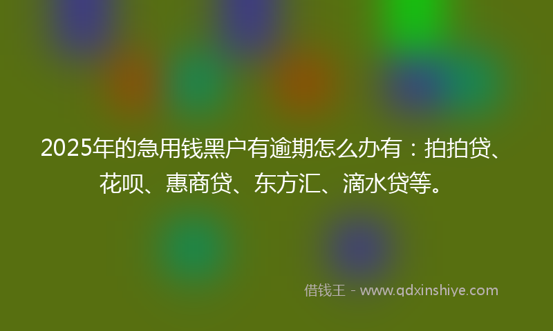 2025年的急用钱黑户有逾期怎么办有：拍拍贷、花呗、惠商贷、东方汇、滴水贷等。