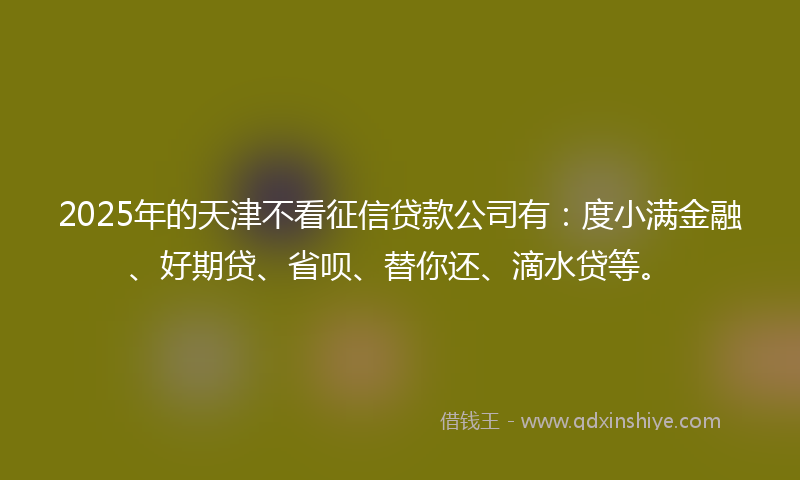 2025年的天津不看征信贷款公司有：度小满金融、好期贷、省呗、替你还、滴水贷等。