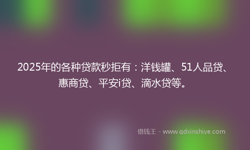 2025年的各种贷款秒拒有：洋钱罐、51人品贷、惠商贷、平安i贷、滴水贷等。