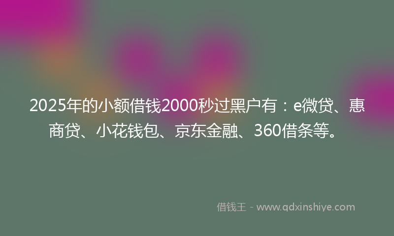 2025年的小额借钱2000秒过黑户有：e微贷、惠商贷、小花钱包、京东金融、360借条等。