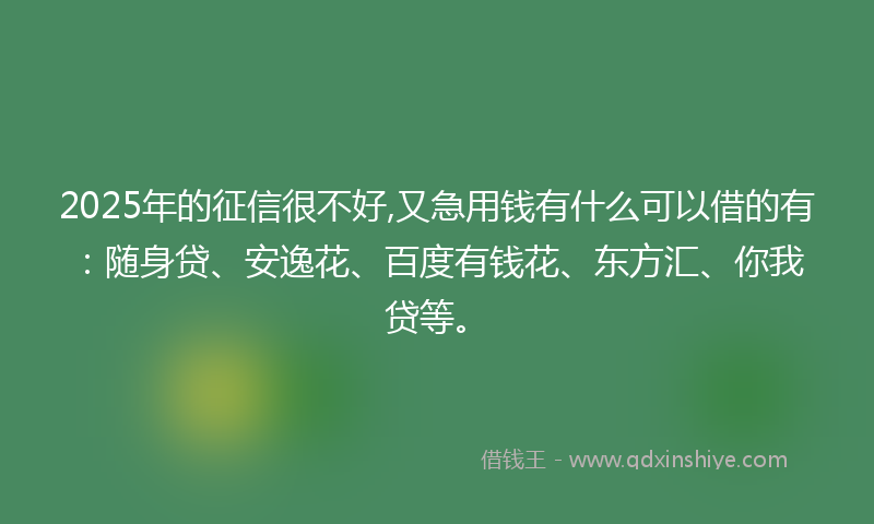 2025年的征信很不好,又急用钱有什么可以借的有：随身贷、安逸花、百度有钱花、东方汇、你我贷等。