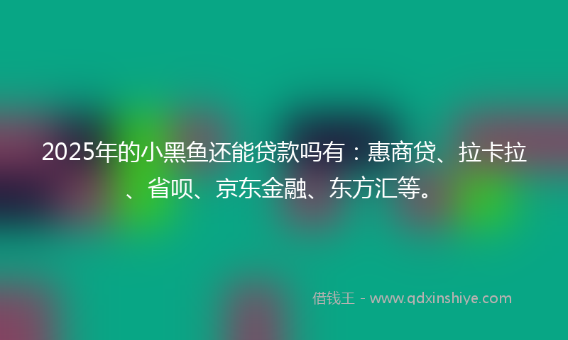 2025年的小黑鱼还能贷款吗有：惠商贷、拉卡拉、省呗、京东金融、东方汇等。