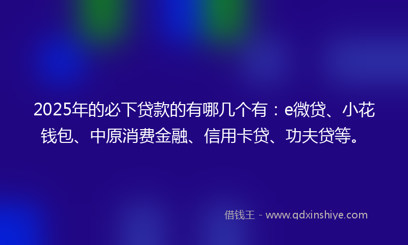 2025年的必下贷款的有哪几个有：e微贷、小花钱包、中原消费金融、信用卡贷、功夫贷等。