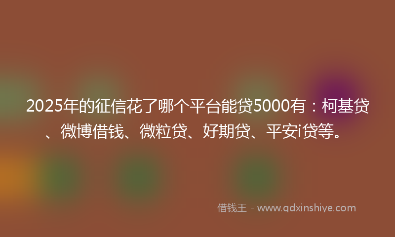 2025年的征信花了哪个平台能贷5000有：柯基贷、微博借钱、微粒贷、好期贷、平安i贷等。