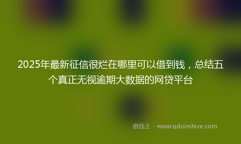2025年最新征信很烂在哪里可以借到钱，总结五个真正无视逾期大数据的网贷平台