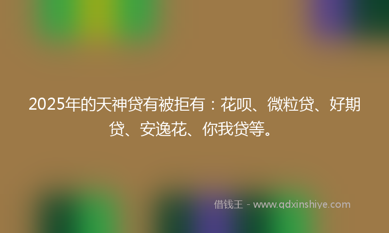 2025年的天神贷有被拒有：花呗、微粒贷、好期贷、安逸花、你我贷等。