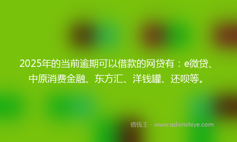 2025年的当前逾期可以借款的网贷有：e微贷、中原消费金融、东方汇、洋钱罐、还呗等。